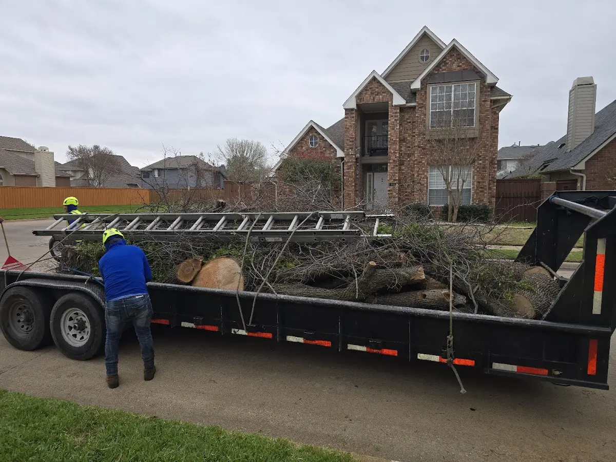 Expert Tree Fertilization with proper safety equipment in Medora